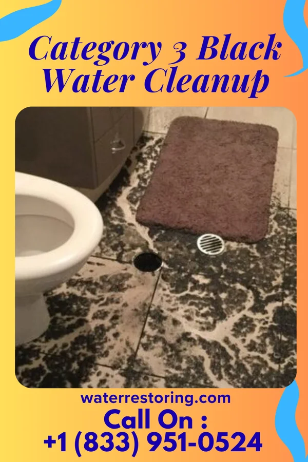 Category 3 Black Water Cleanup in Neligh, NE